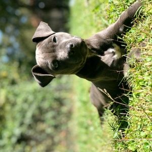 Meet your Posher, Lakena